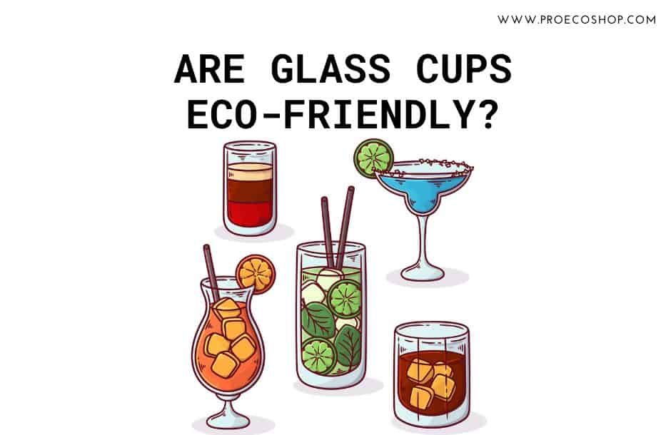 ARE GLASS CUP ECO-FRIENDLY