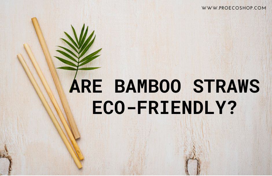 Bamboo Straws