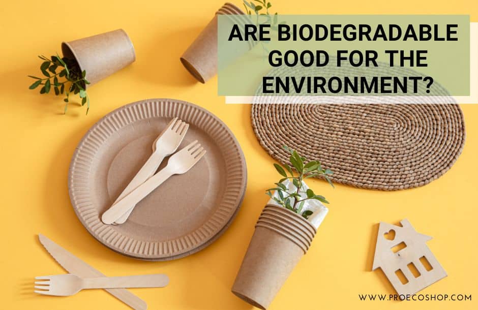 How biodegradable substances affect the environment