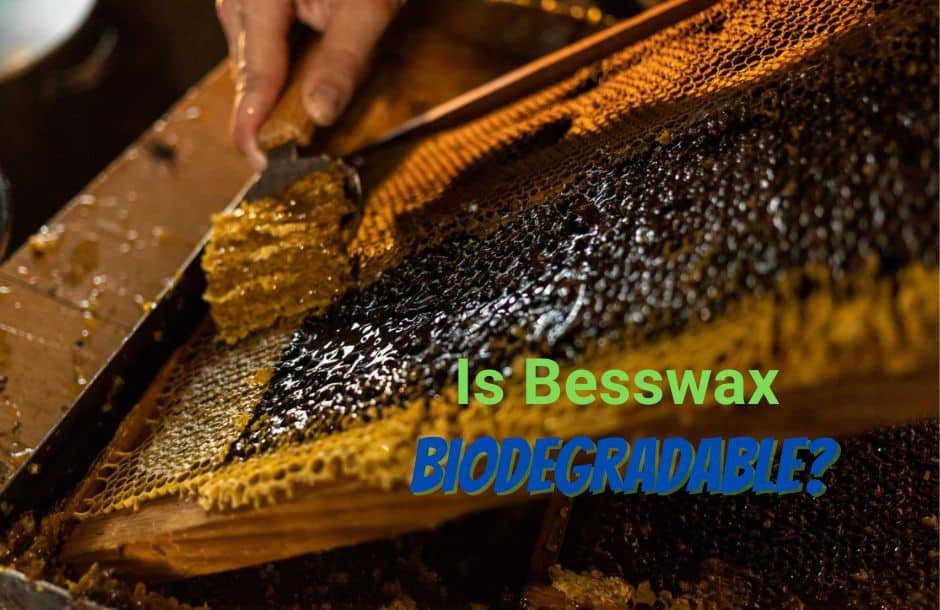 Is Beeswax Biodegradable