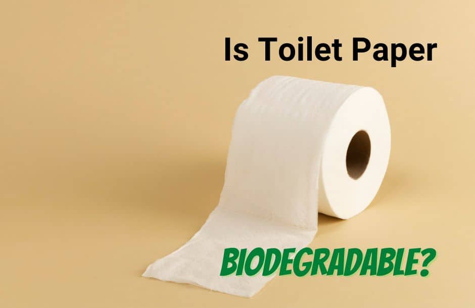 Is Toilet Paper Biodegradable