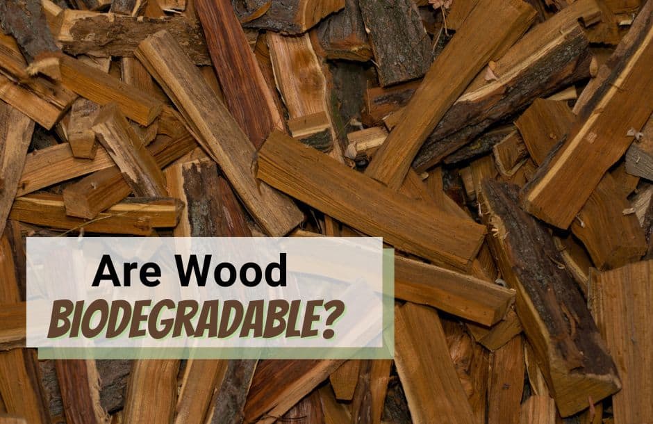 are woods biodegradable