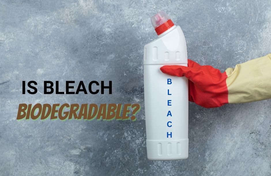 is bleach biodegradable