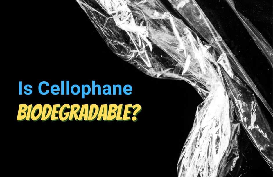 is cellophane plastic biodegradable