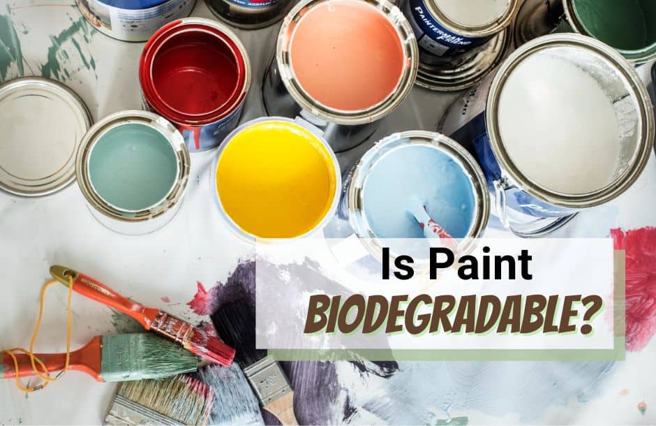 is paint biodegradable