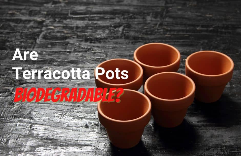 are terracotta pots biodegradable