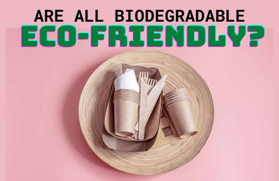 is biodegradable eco friendly