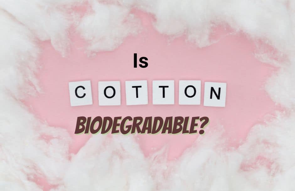 is cotton biodegradable