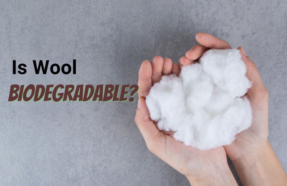 is wool biodegradable